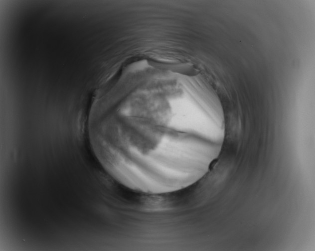 X0000087550230200705181112