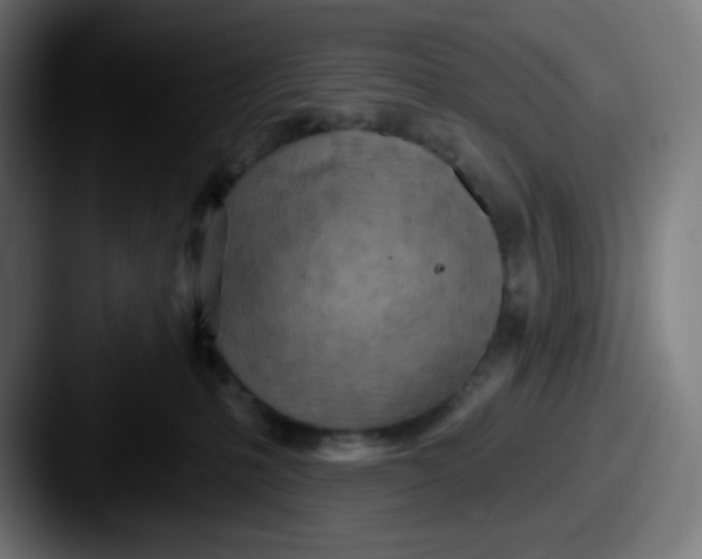 X0000087550231200705181112