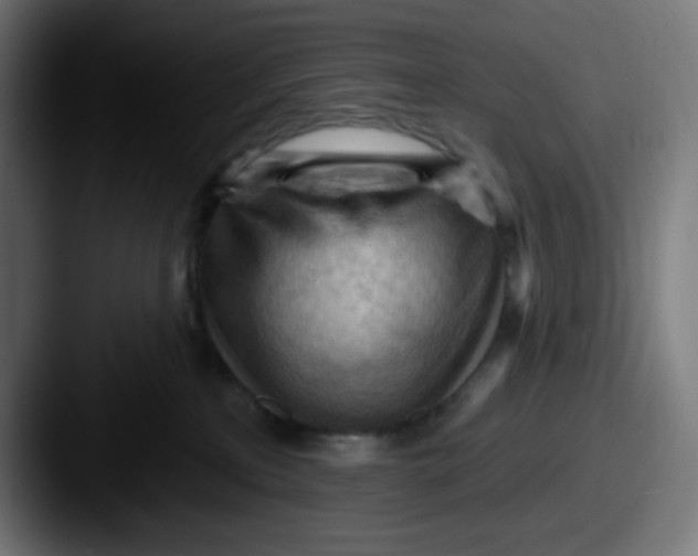 X0000087550233200705181112