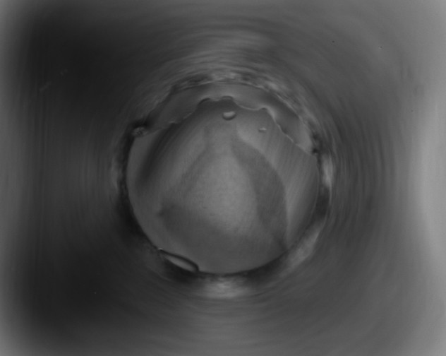 X0000087550235200705181112