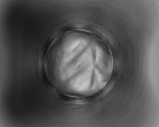 X0000087550236200705181112