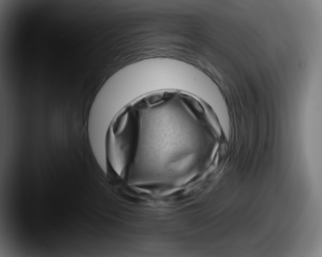 X0000087550237200705181112