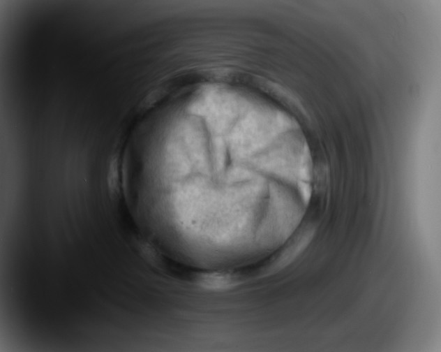 X0000087550238200705181112