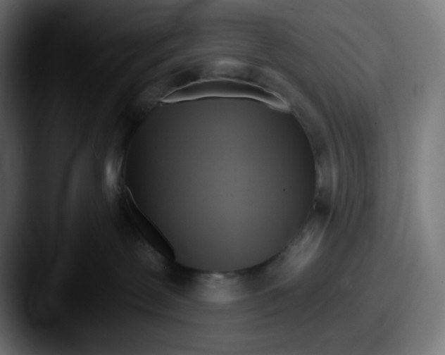 X0000087550239200705181112