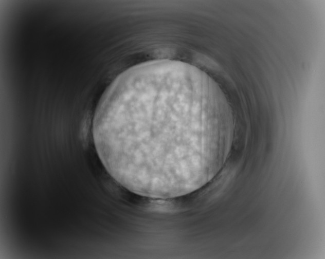 X0000087550240200705181112