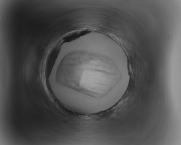 X0000087550241200705181111