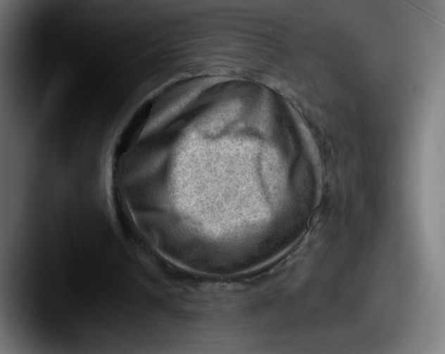 X0000087550242200705181111