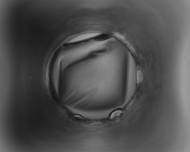 X0000087550243200705181111