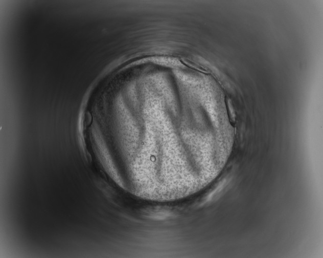 X0000087550244200705181111