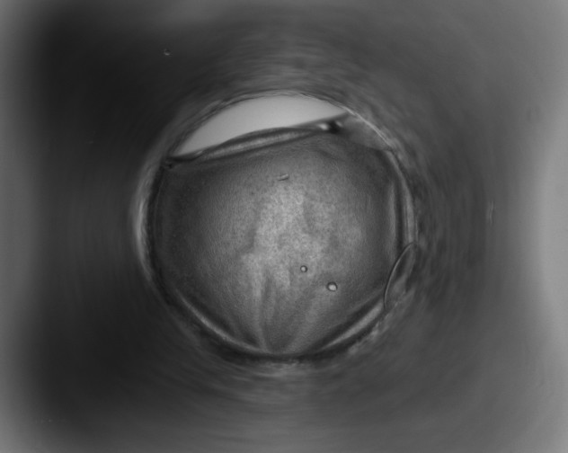 X0000087550245200705181111