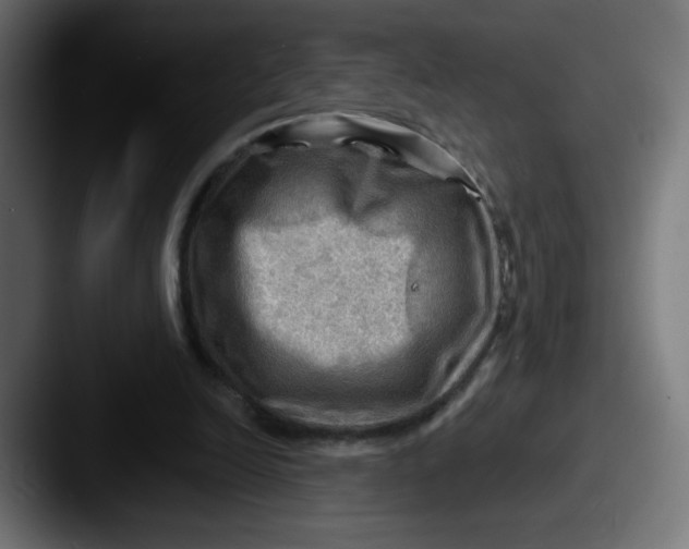 X0000087550246200705181111