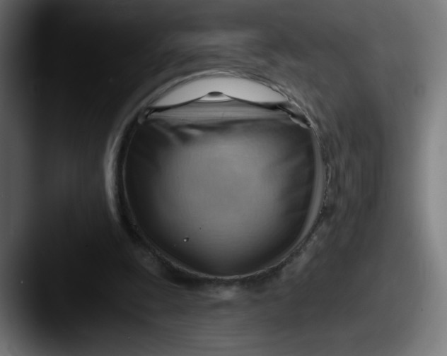 X0000087550247200705181111