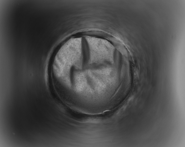 X0000087550248200705181111