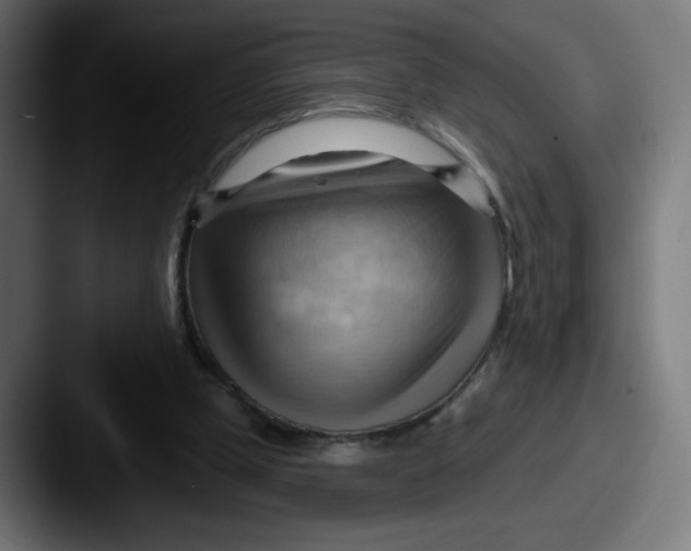 X0000087550249200705181111