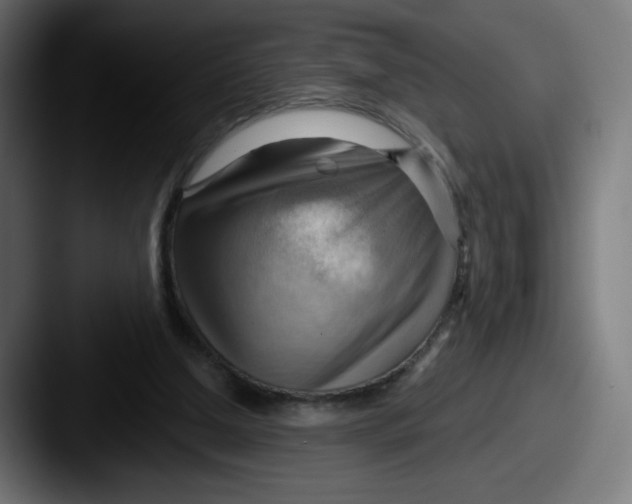 X0000087550250200705181111