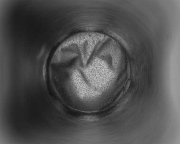 X0000087550251200705181111