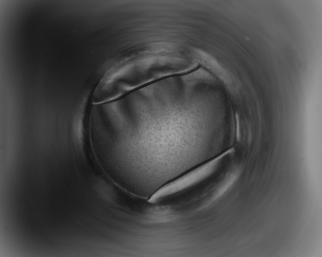 X0000087550252200705181111