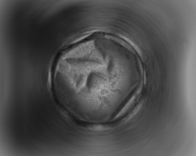 X0000087550253200705181111