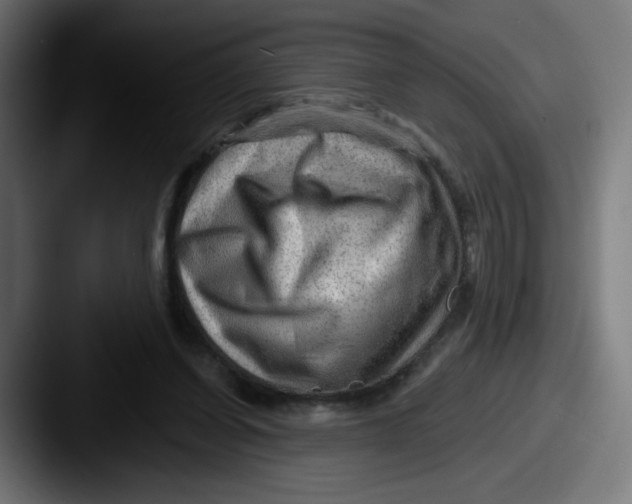 X0000087550254200705181111