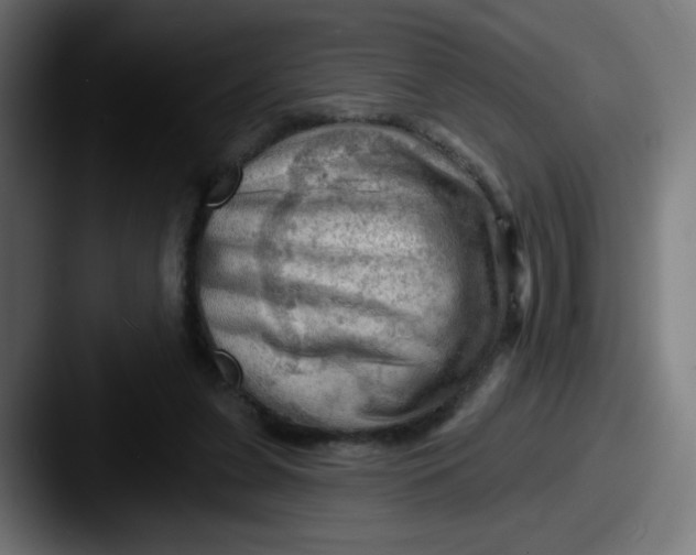 X0000087550255200705181111