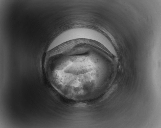 X0000087550257200705181112