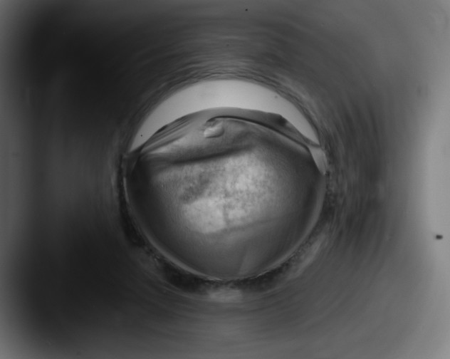 X0000087550258200705181112