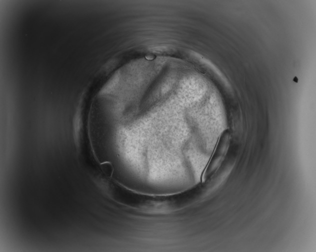 X0000087550260200705181112