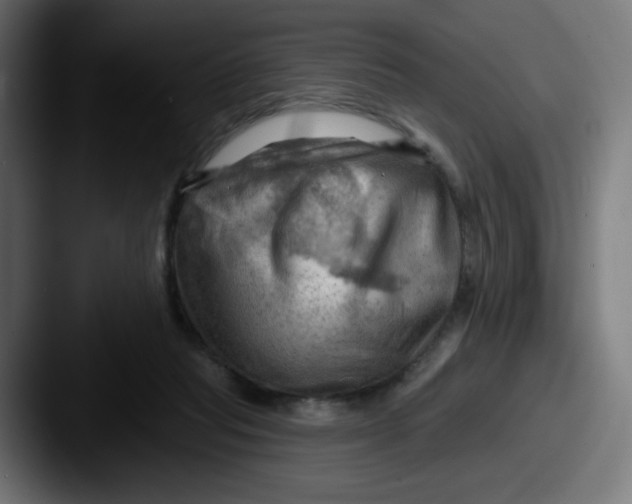 X0000087550261200705181112