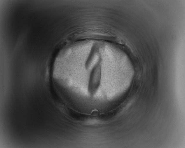 X0000087550262200705181112