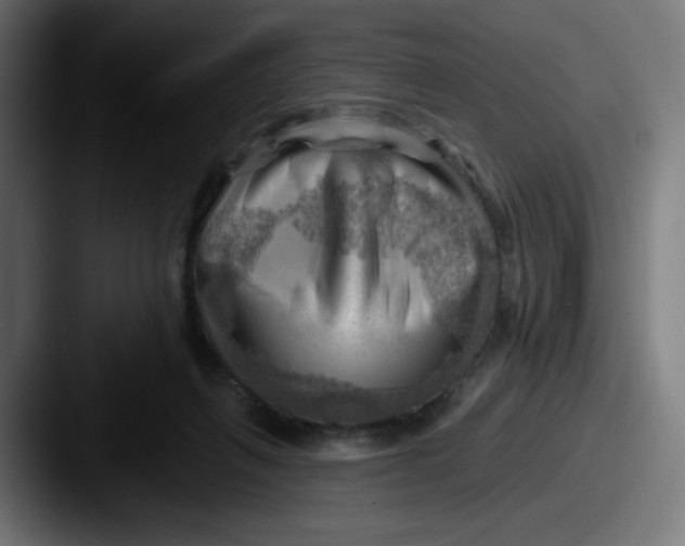 X0000087550263200705181112