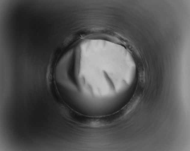 X0000087550264200705181112