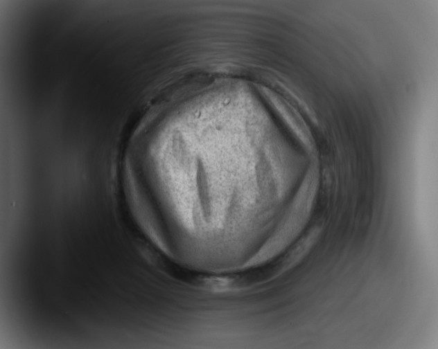 X0000087550265200705181112