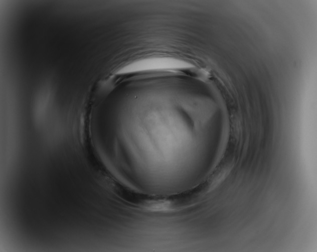 X0000087550266200705181112