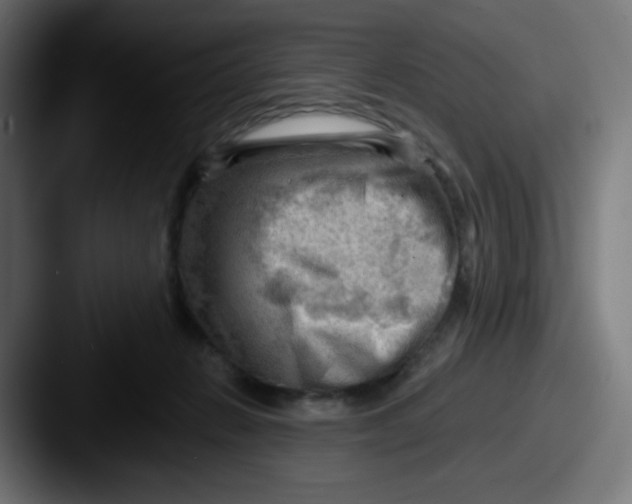 X0000087550270200705181112