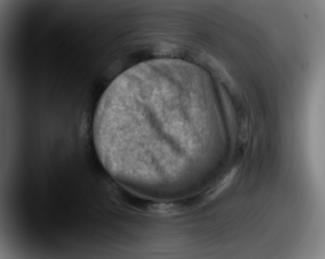 X0000087550273200705181112