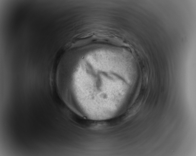 X0000087550274200705181112