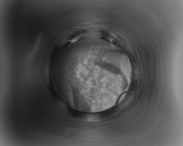 X0000087550275200705181112