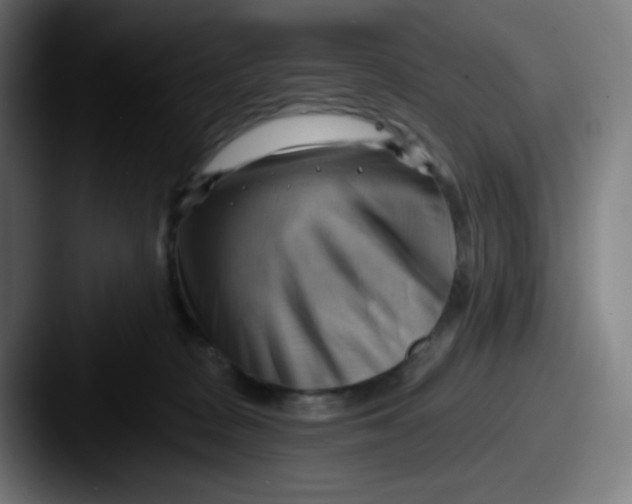 X0000087550277200705181112