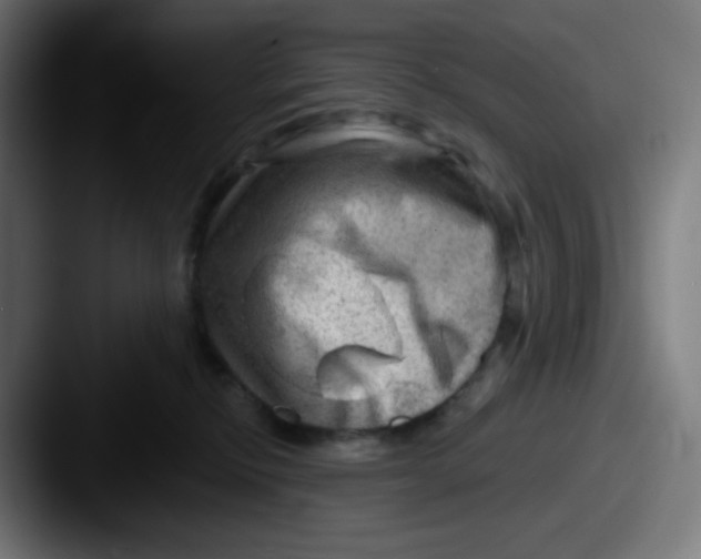 X0000087550278200705181112