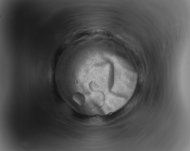 X0000087550279200705181112