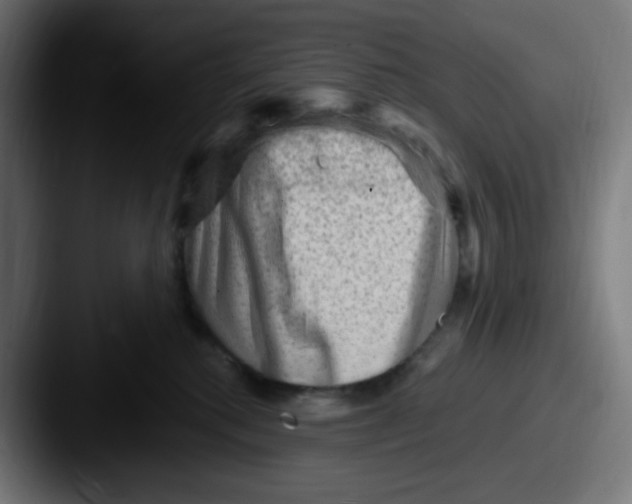 X0000087550280200705181112