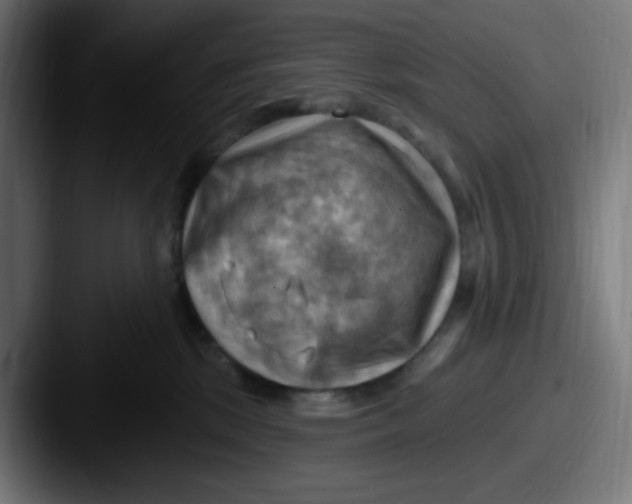 X0000087550281200705181112