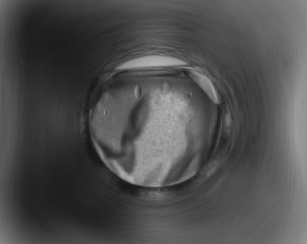 X0000087550282200705181112