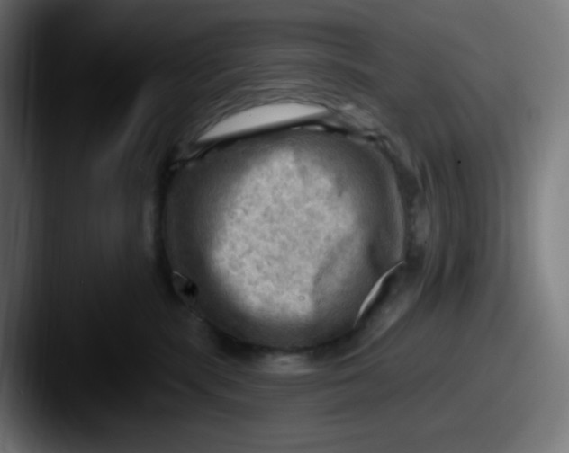 X0000087550283200705181112