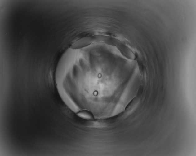 X0000087550286200705181112