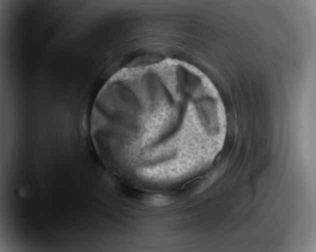 X0000087550287200705181112