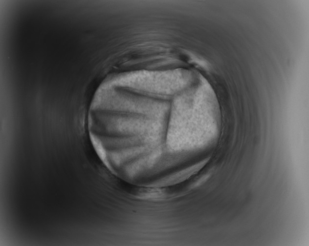 X0000087550288200705181112