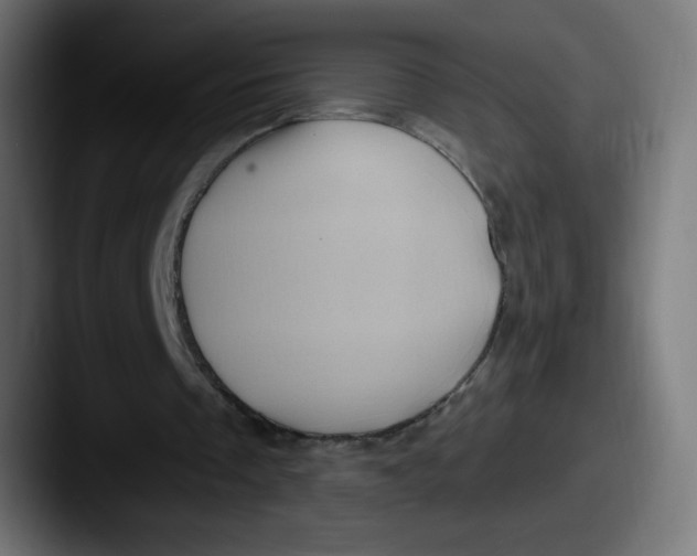 X0000087550289200705181111