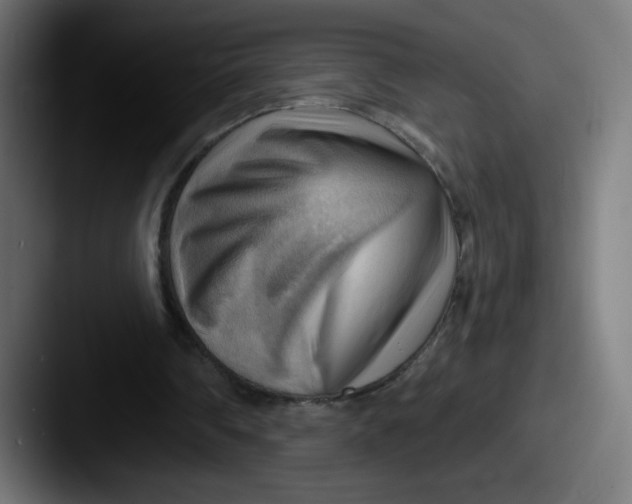 X0000087550290200705181111