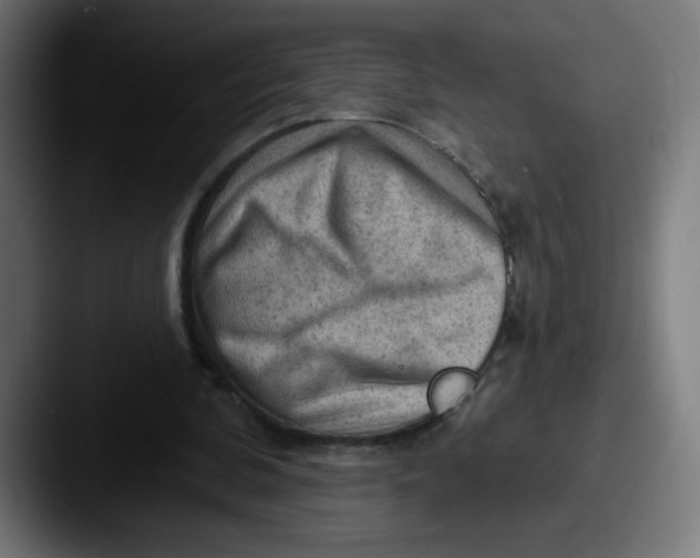 X0000087550292200705181111